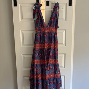 House of Harlow 1960 Floral Maxi Dress - Blue and Red